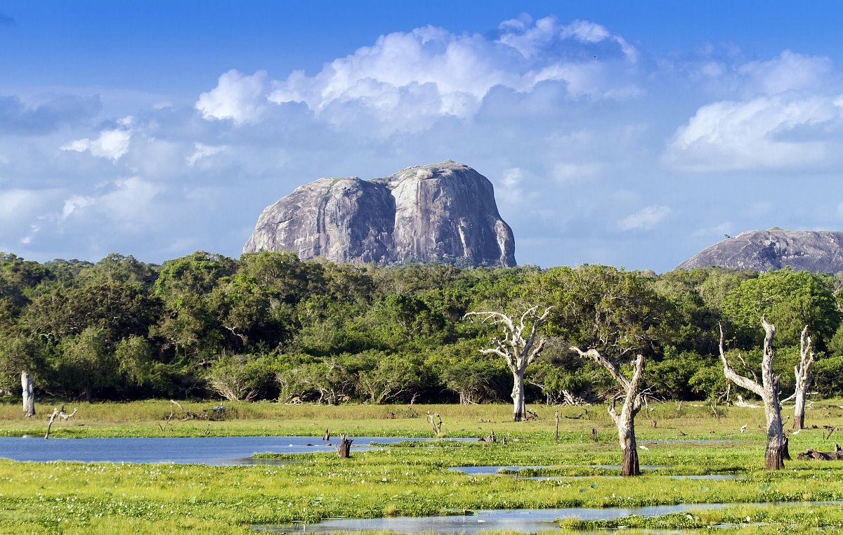 The landscape in Yala
