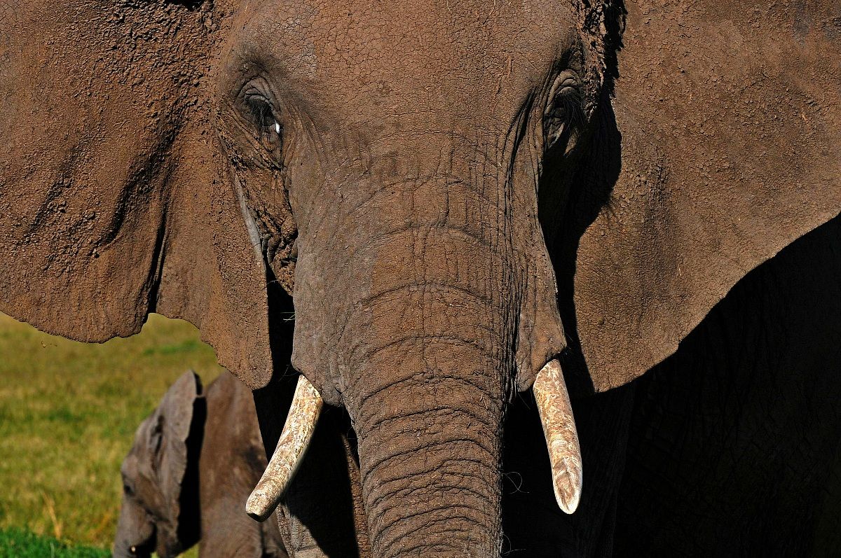 Incontri ravvicinati