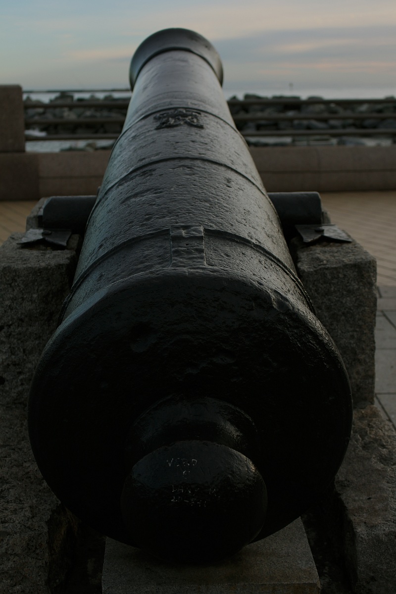 the cannon