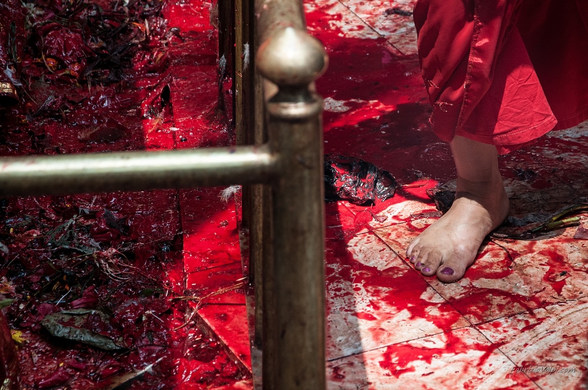 Nel tempio si entra esclusivamente scalzi