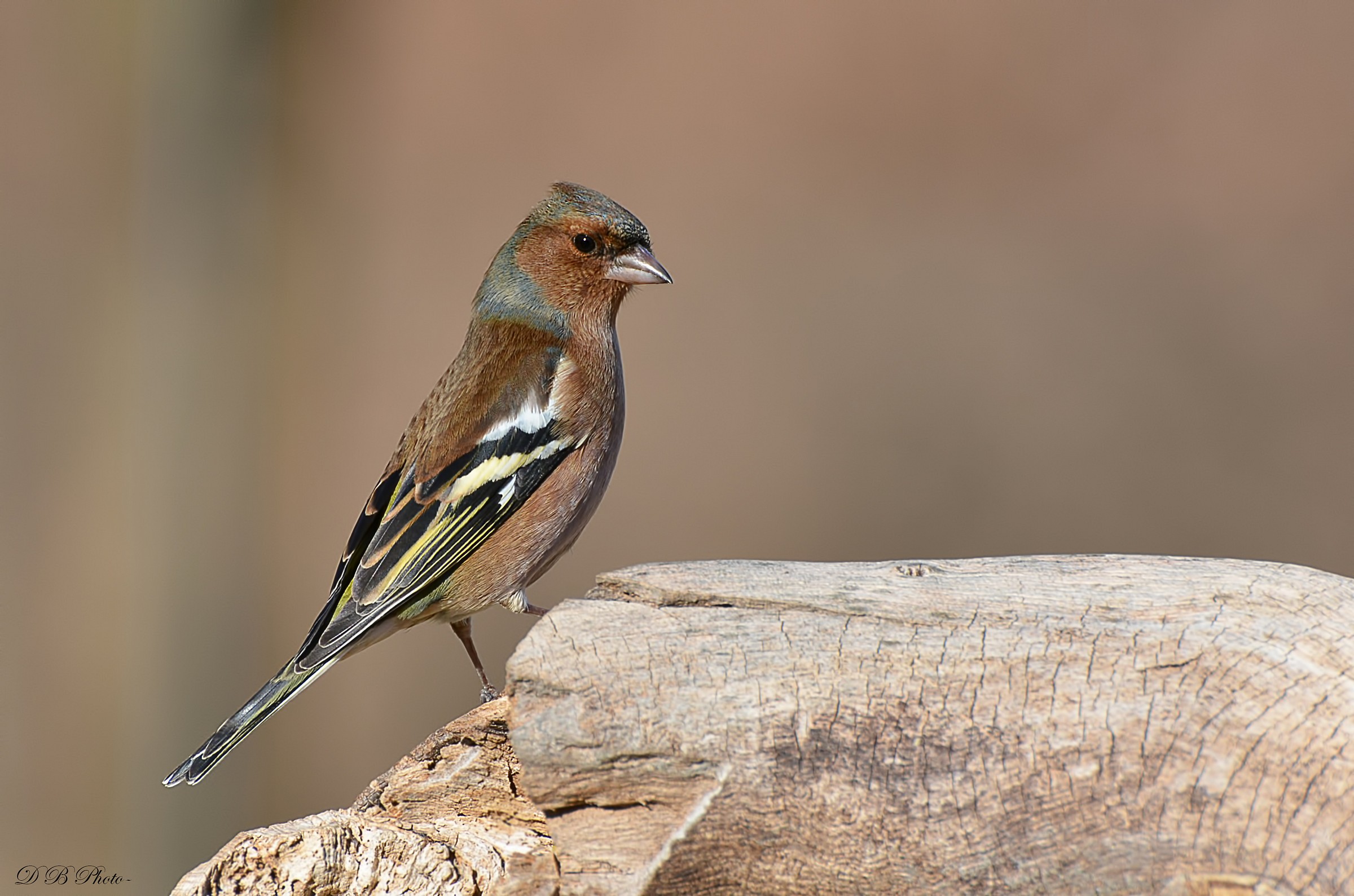 Compassato e signorile....