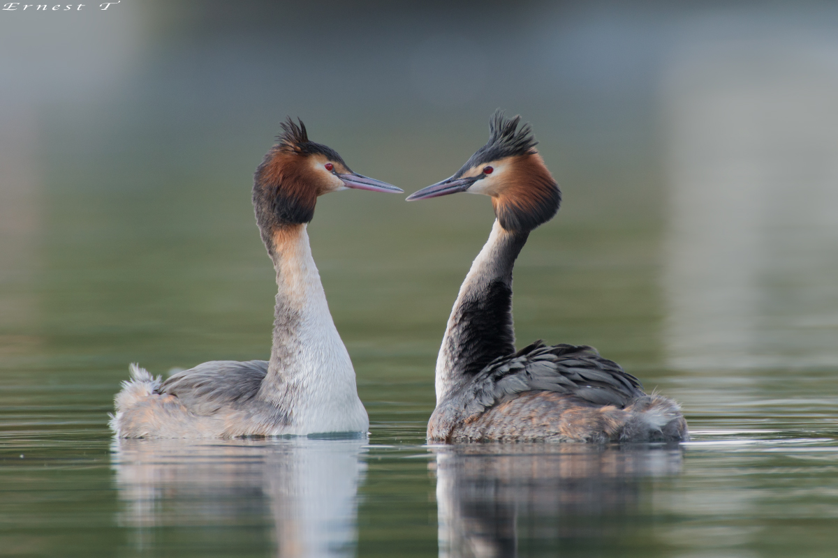 Flashes of Spring ...