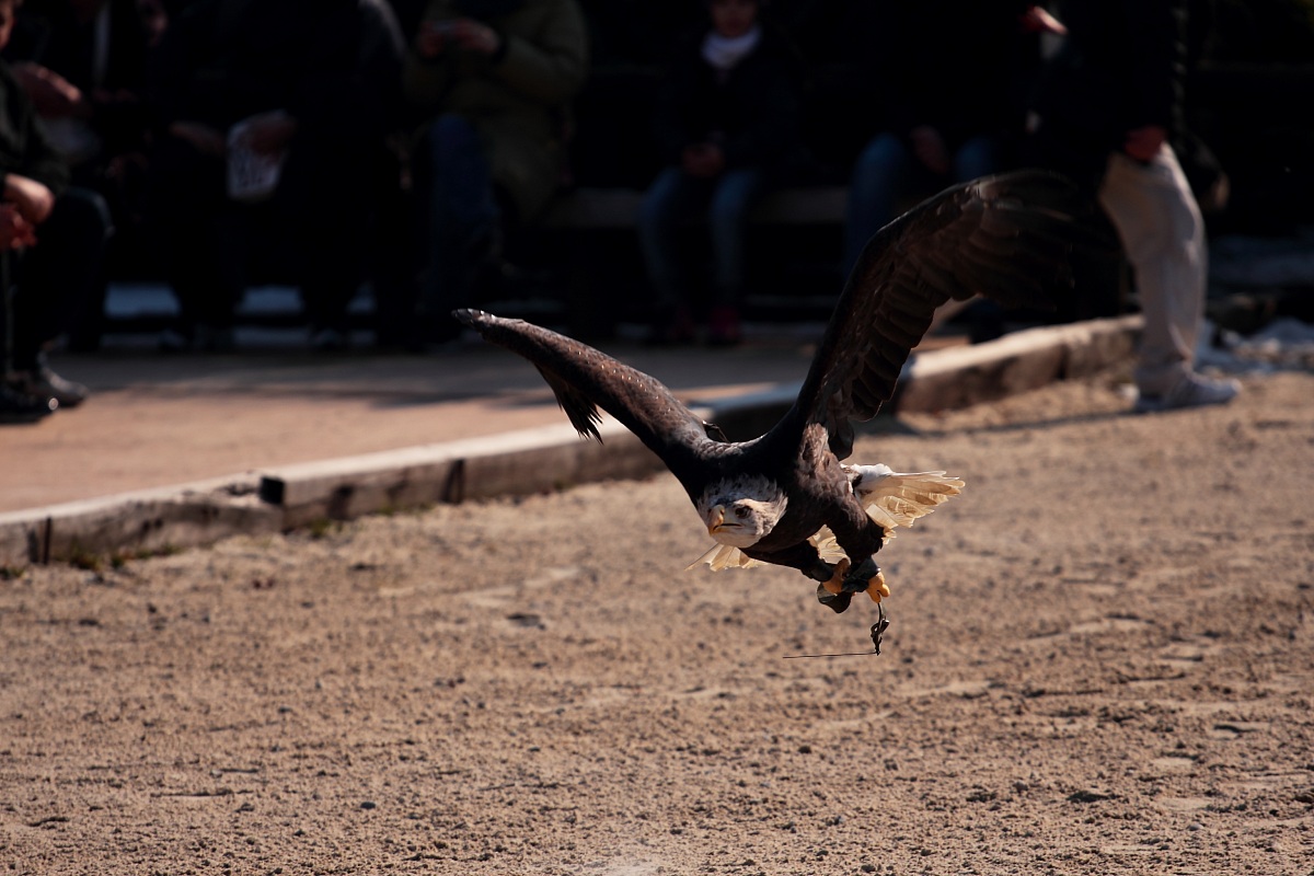 aspetta che ti prendo