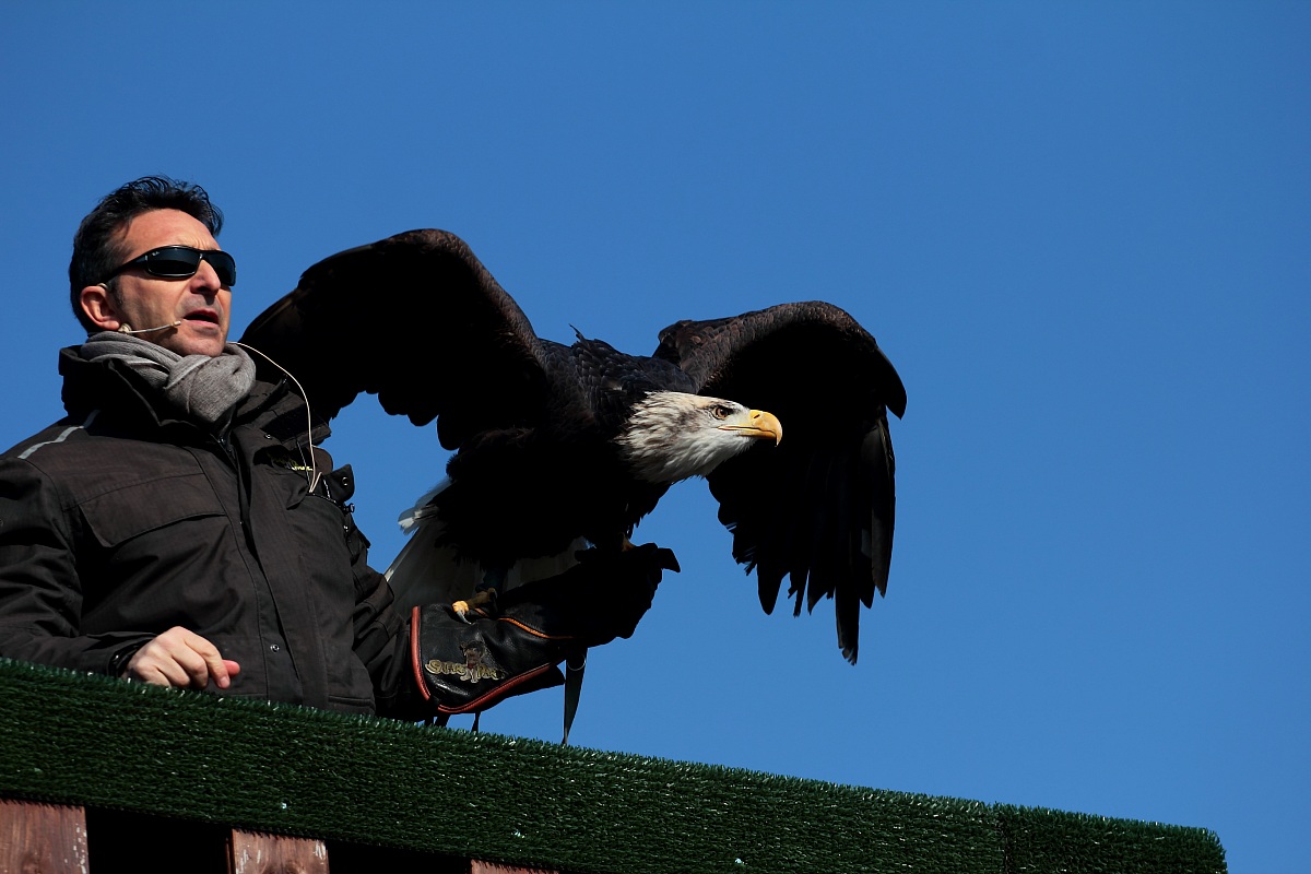 sguardo verso l' orizzone