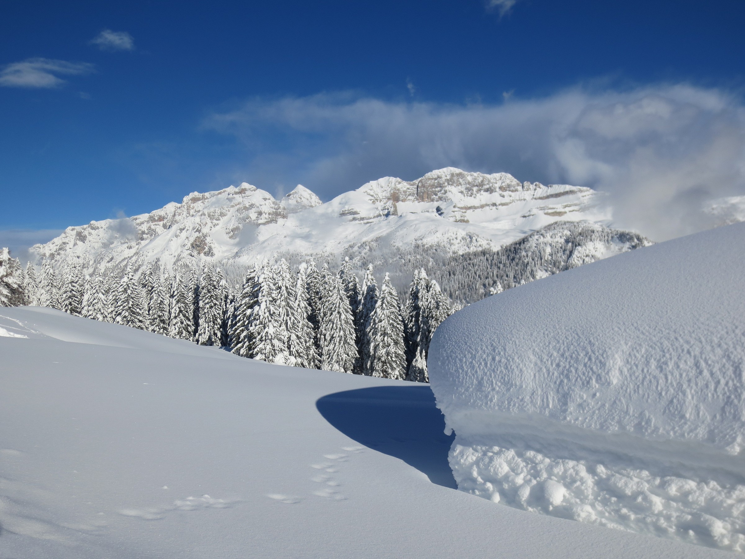 The roof of the hut