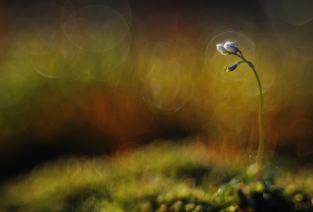 Atmosfere di alri tempi...