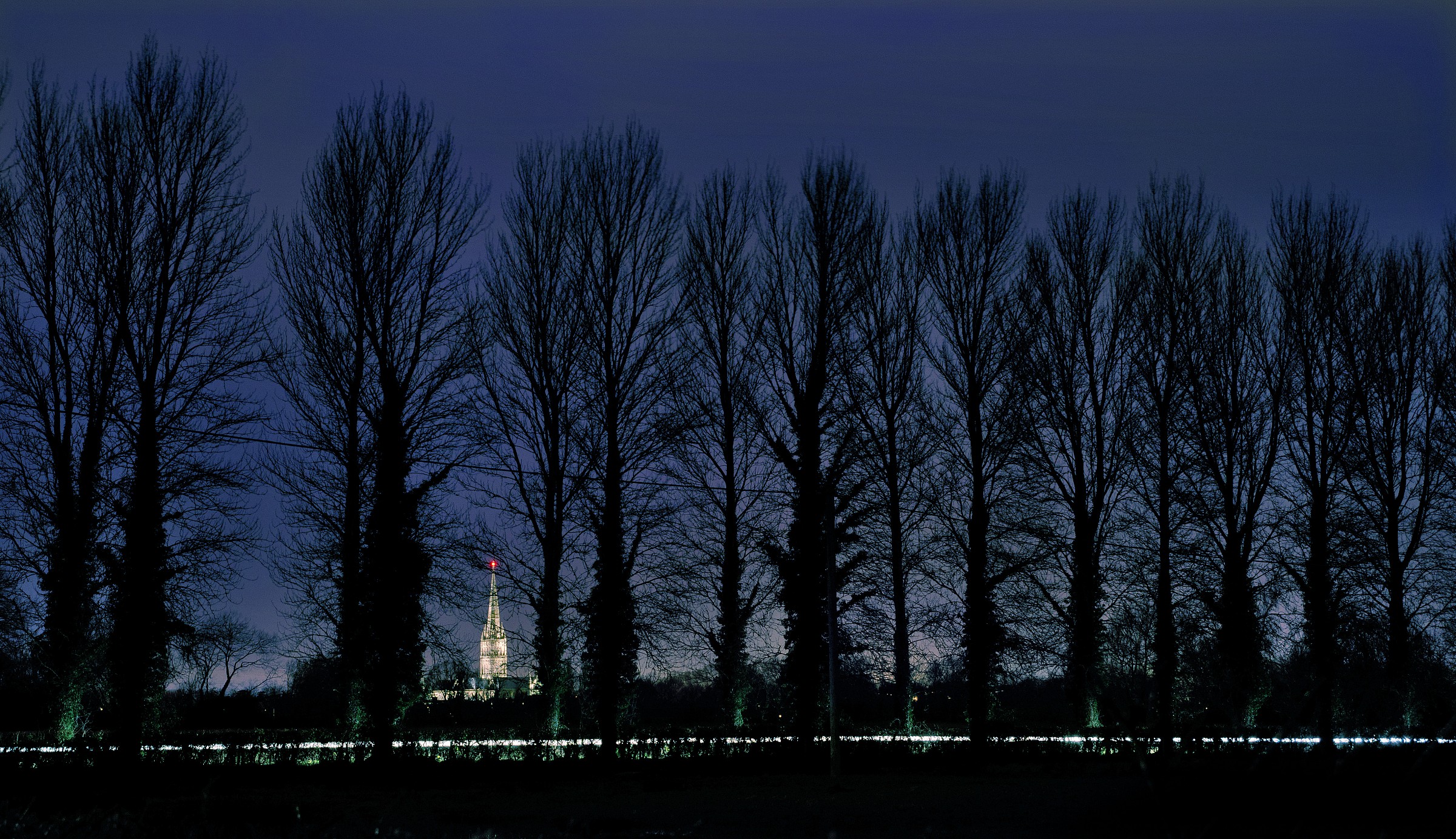 Salisbury Cathedral through Trees
