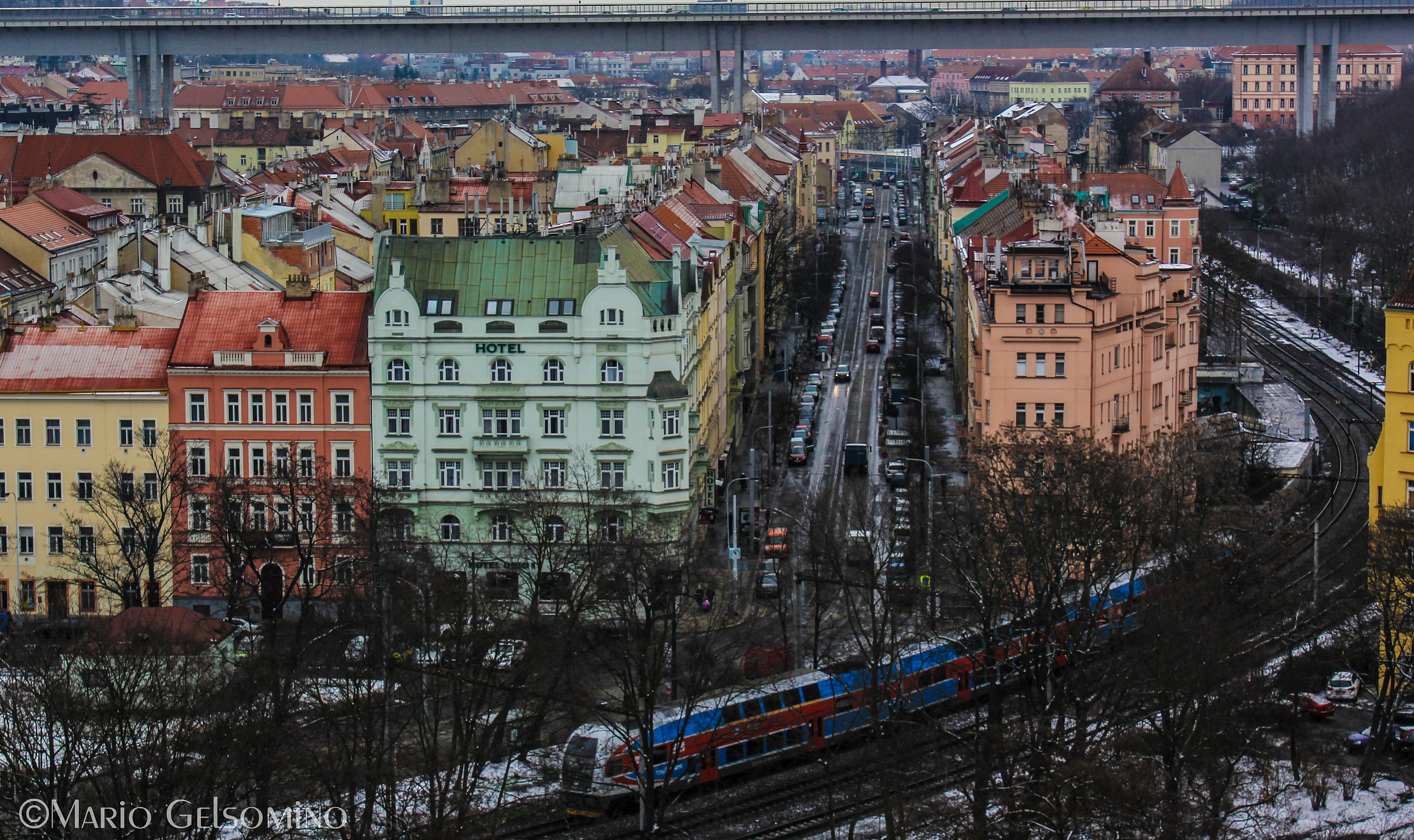 Will swim between colors