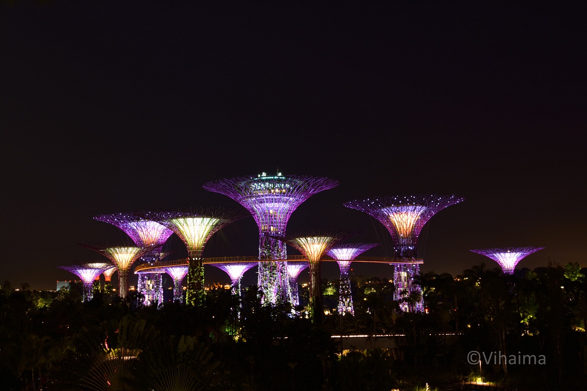 Gardens by the Bay_Singapore