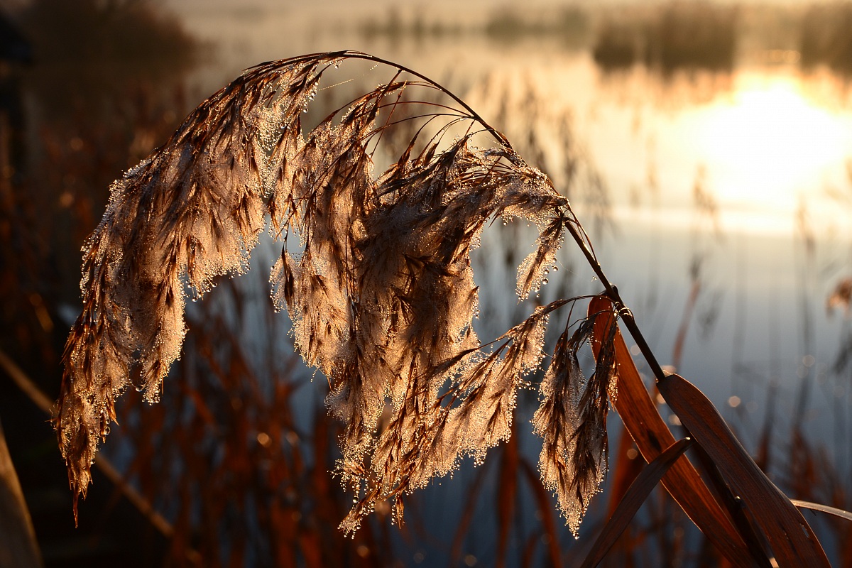 ... Aspettando i caldi raggi del sole