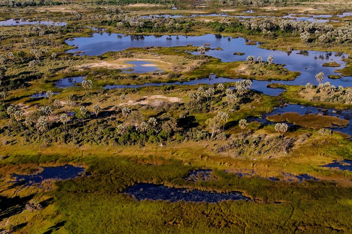 Delta Okawango dall'alto