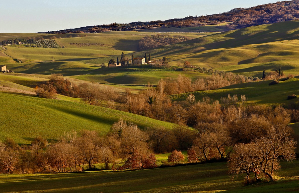 Facing? (Val D'Orcia)