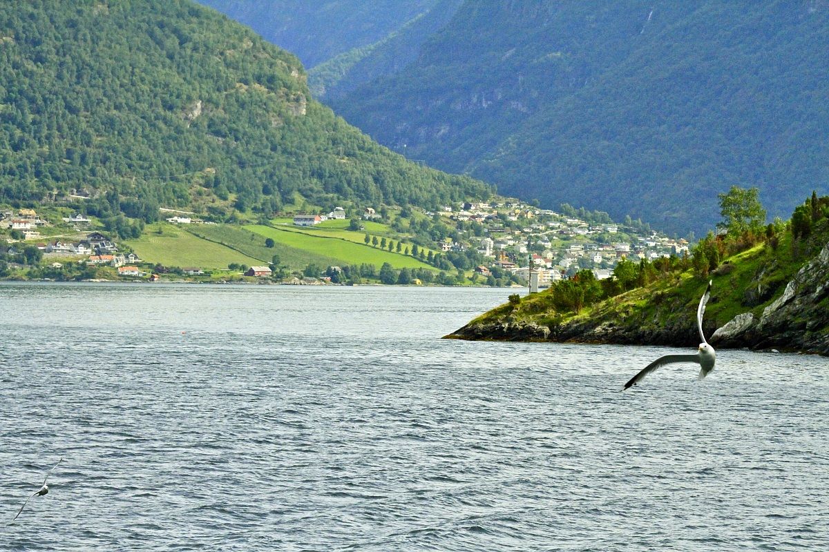 Flam Fjord