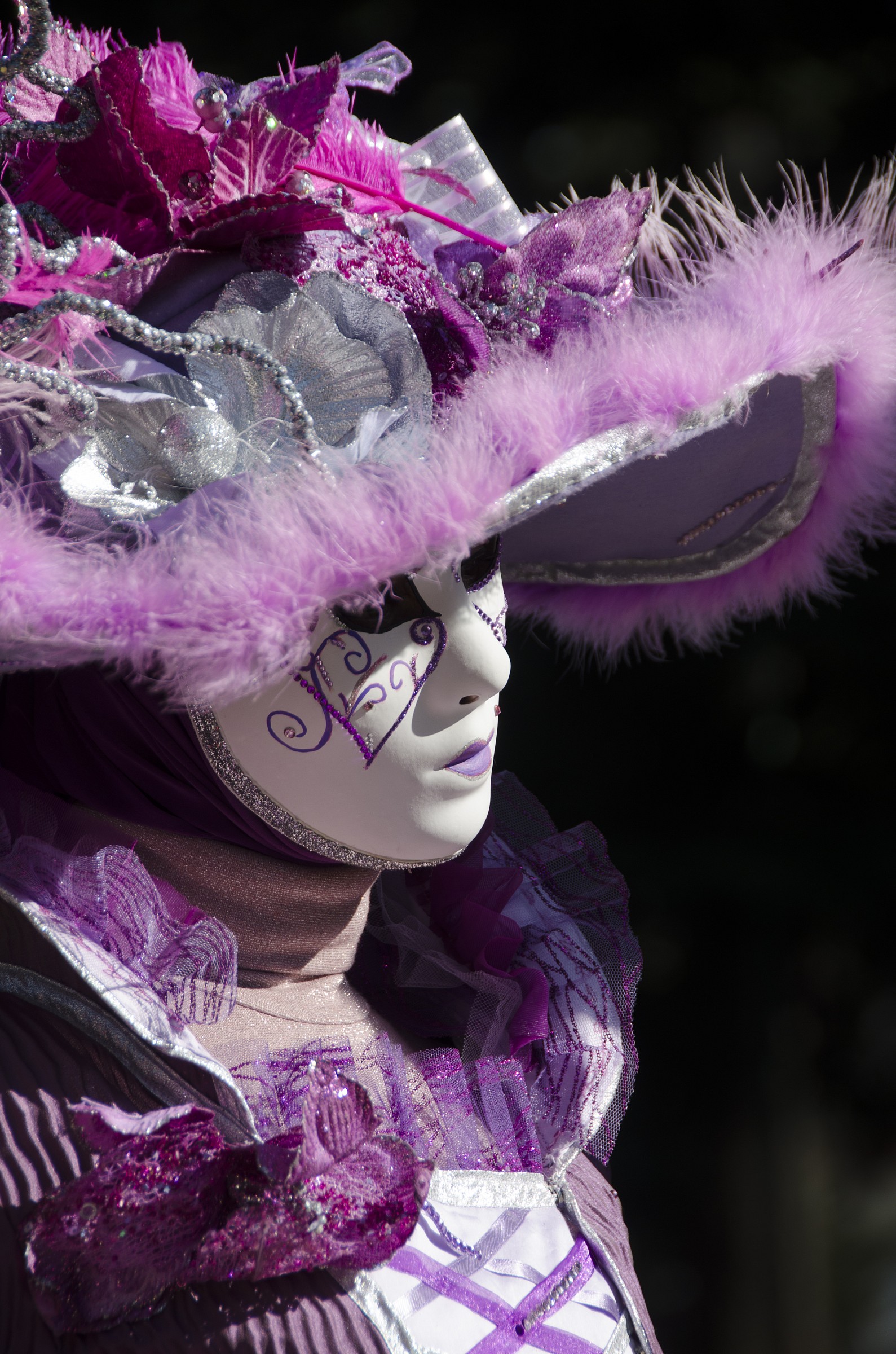 Carnevale 2014