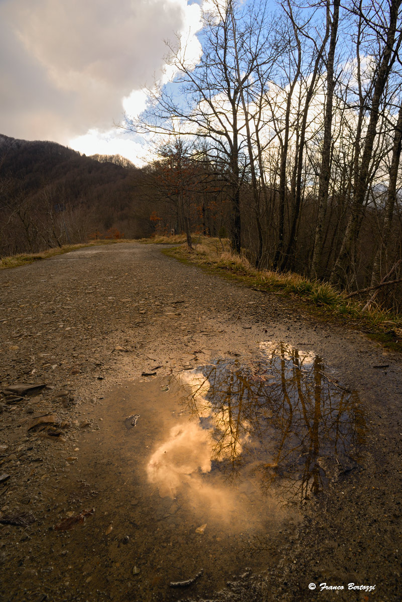 reflection on the path
