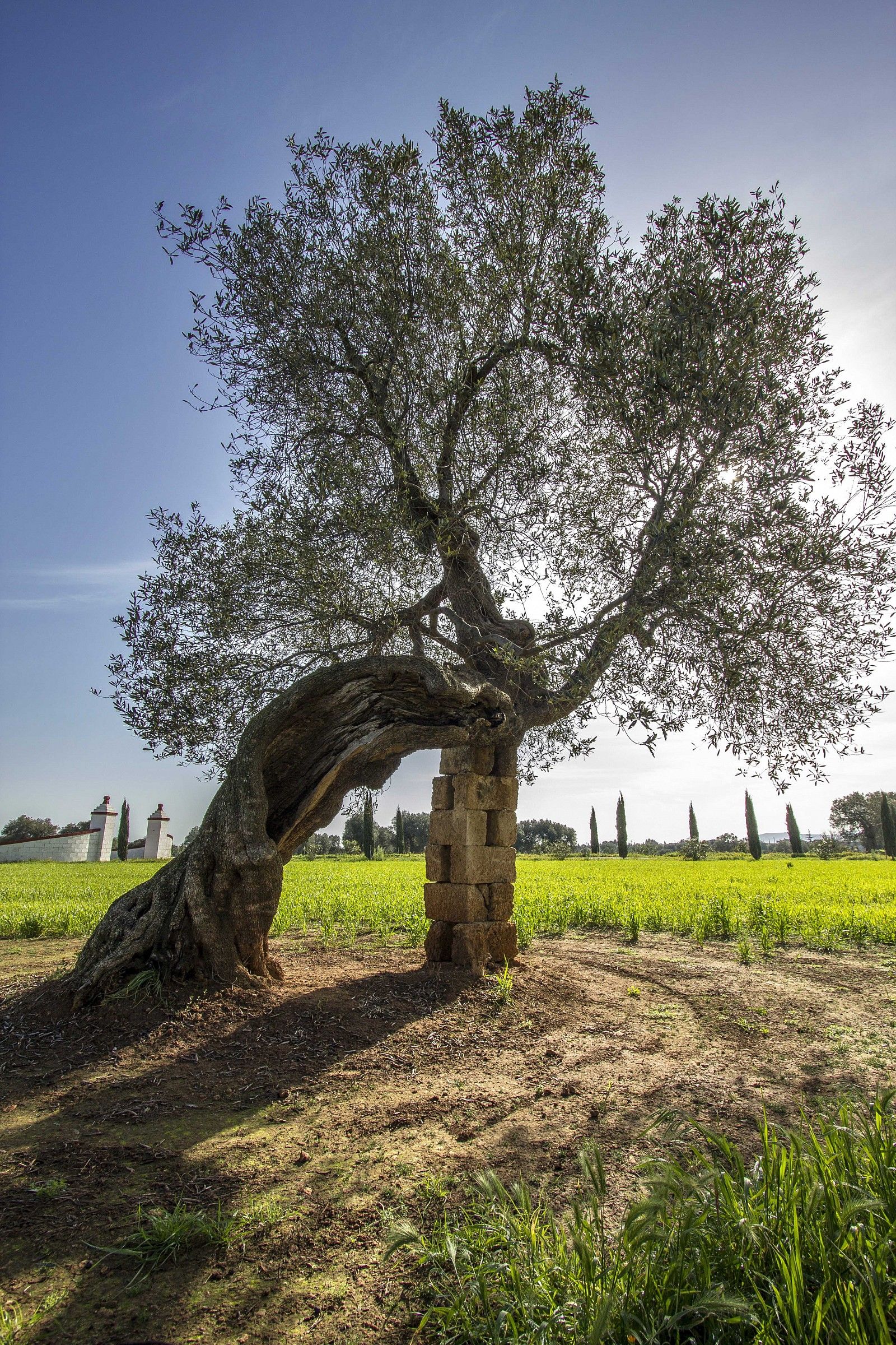 Sosteniamo la natura