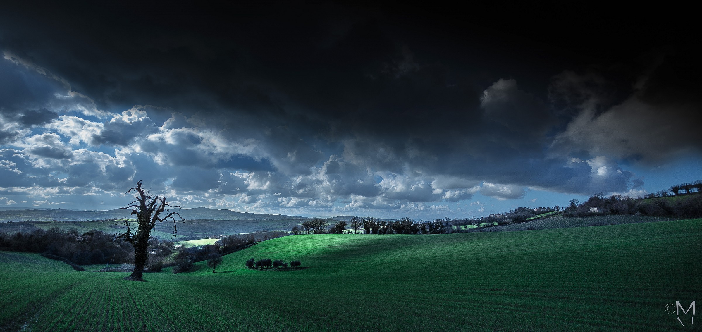 Fantasy cold grass ...