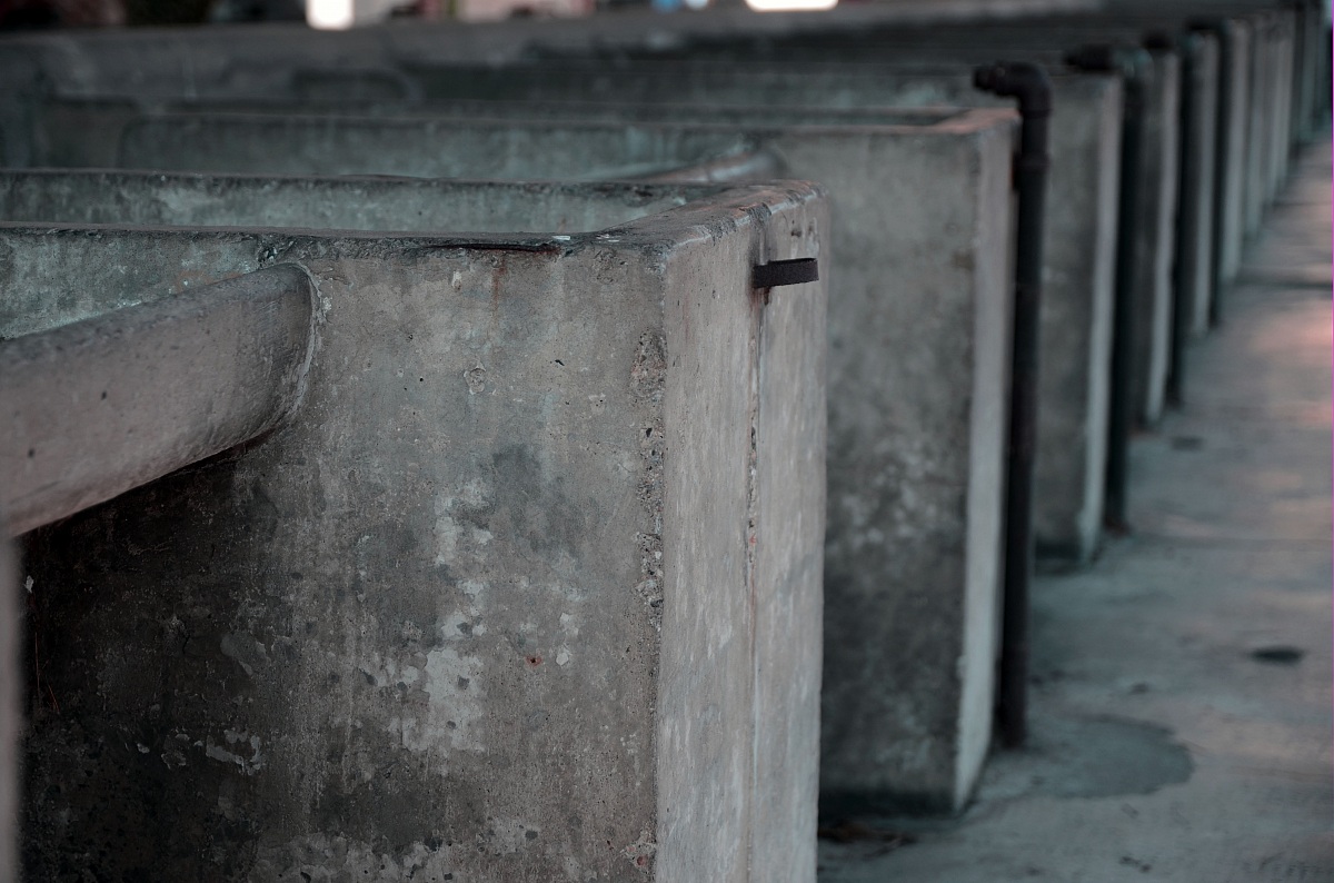 repeated the gesture