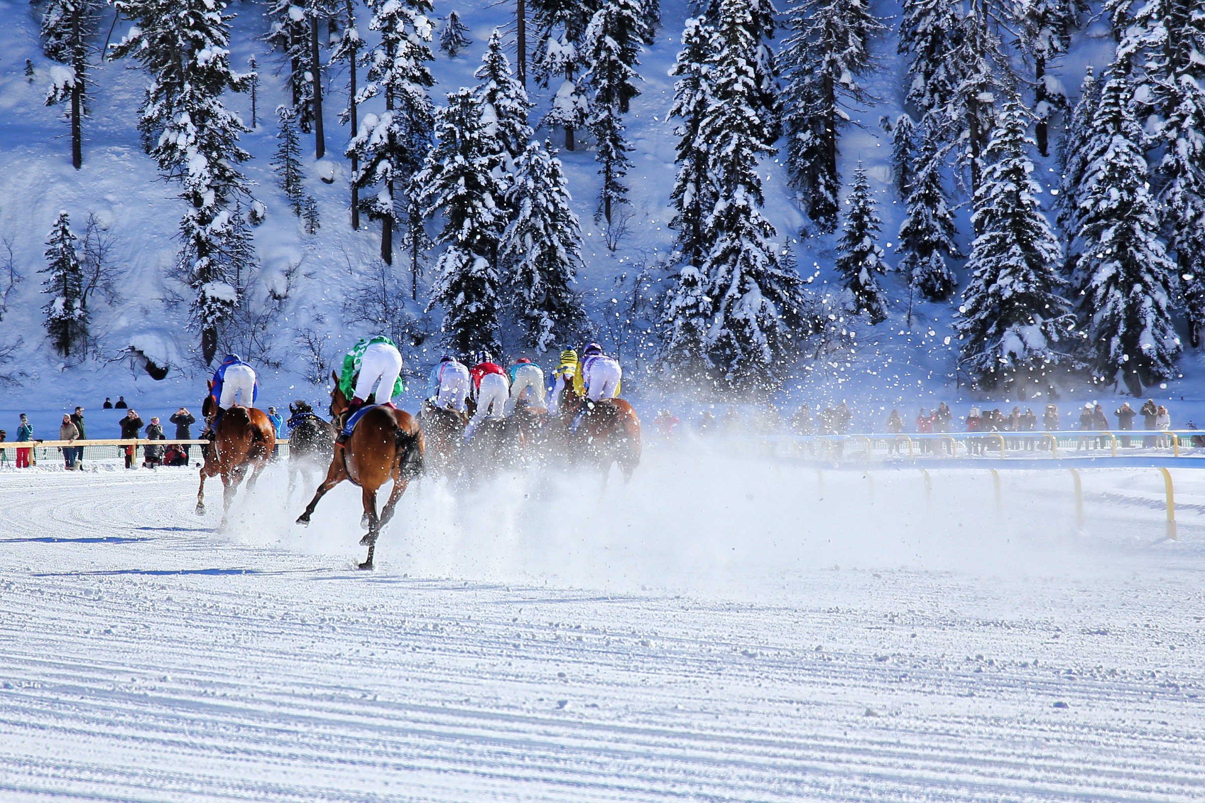 White Turf 2014 B-side