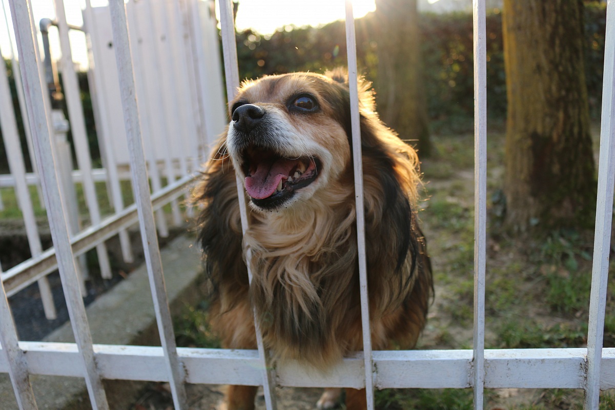 An unexpected subject