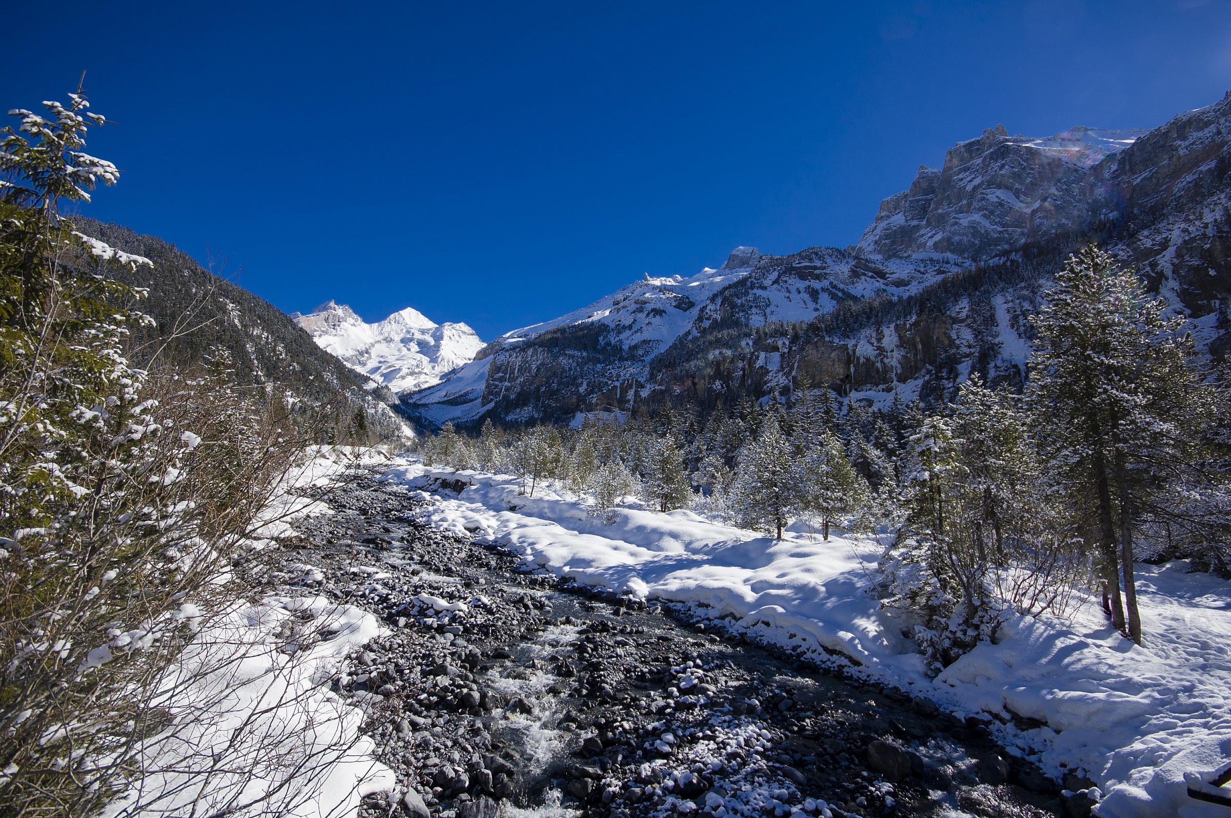 Oeschinenwald _ Kandersteg