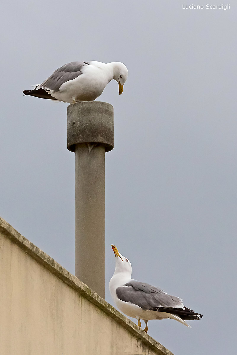 mg_0647, Conversation