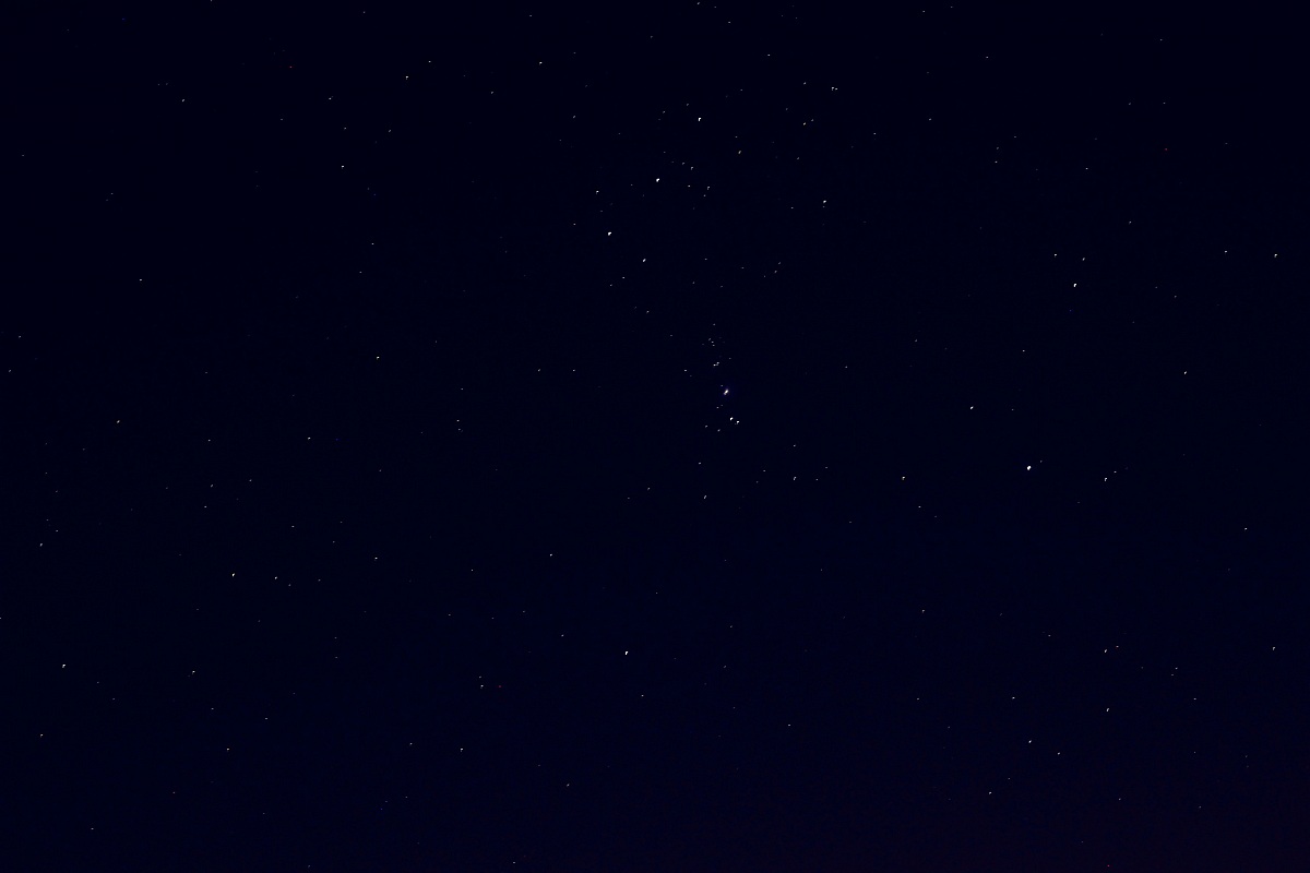Orion