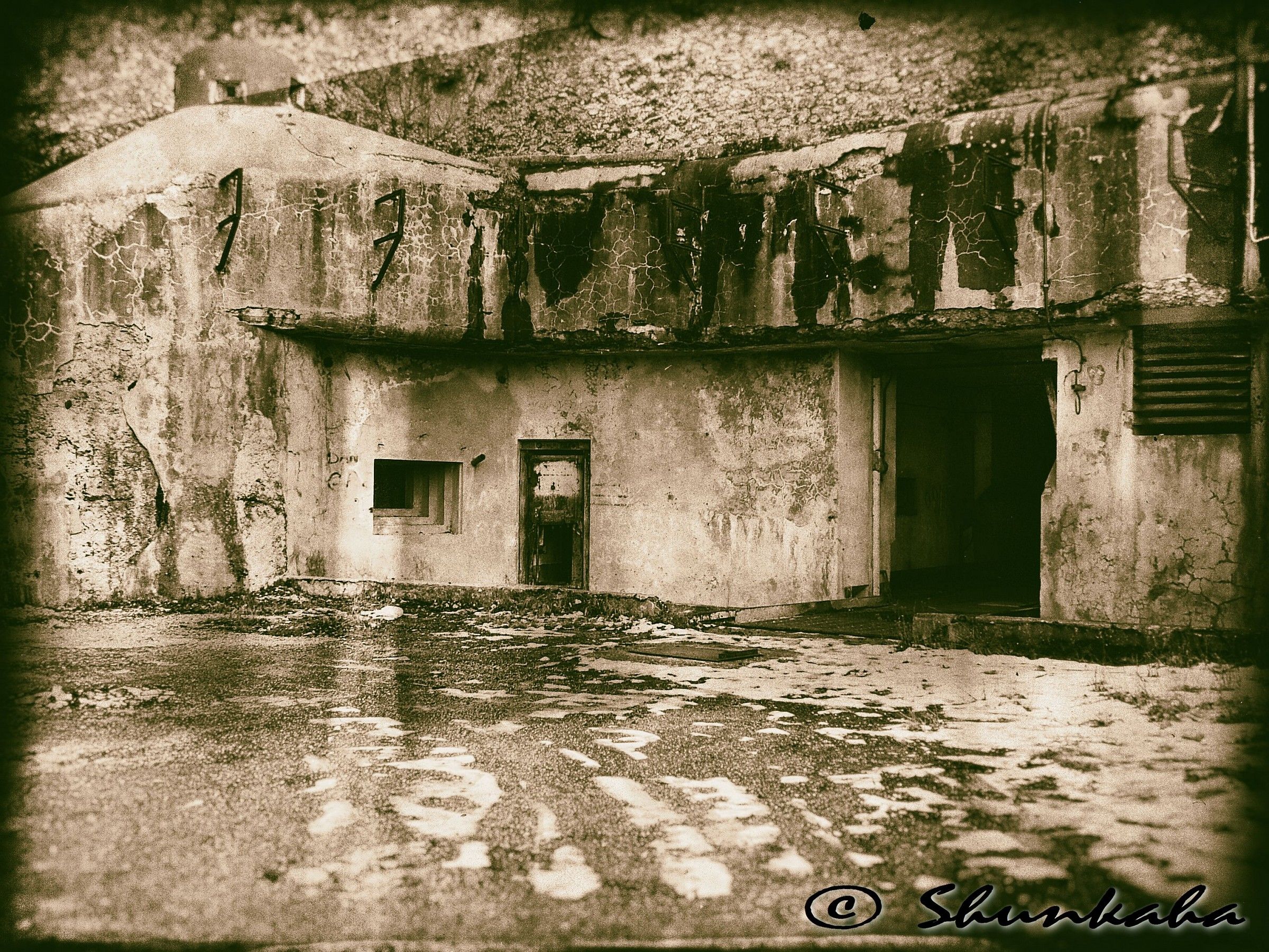 s.f.a.m. - Gros Ouvrage de Monte Grosso