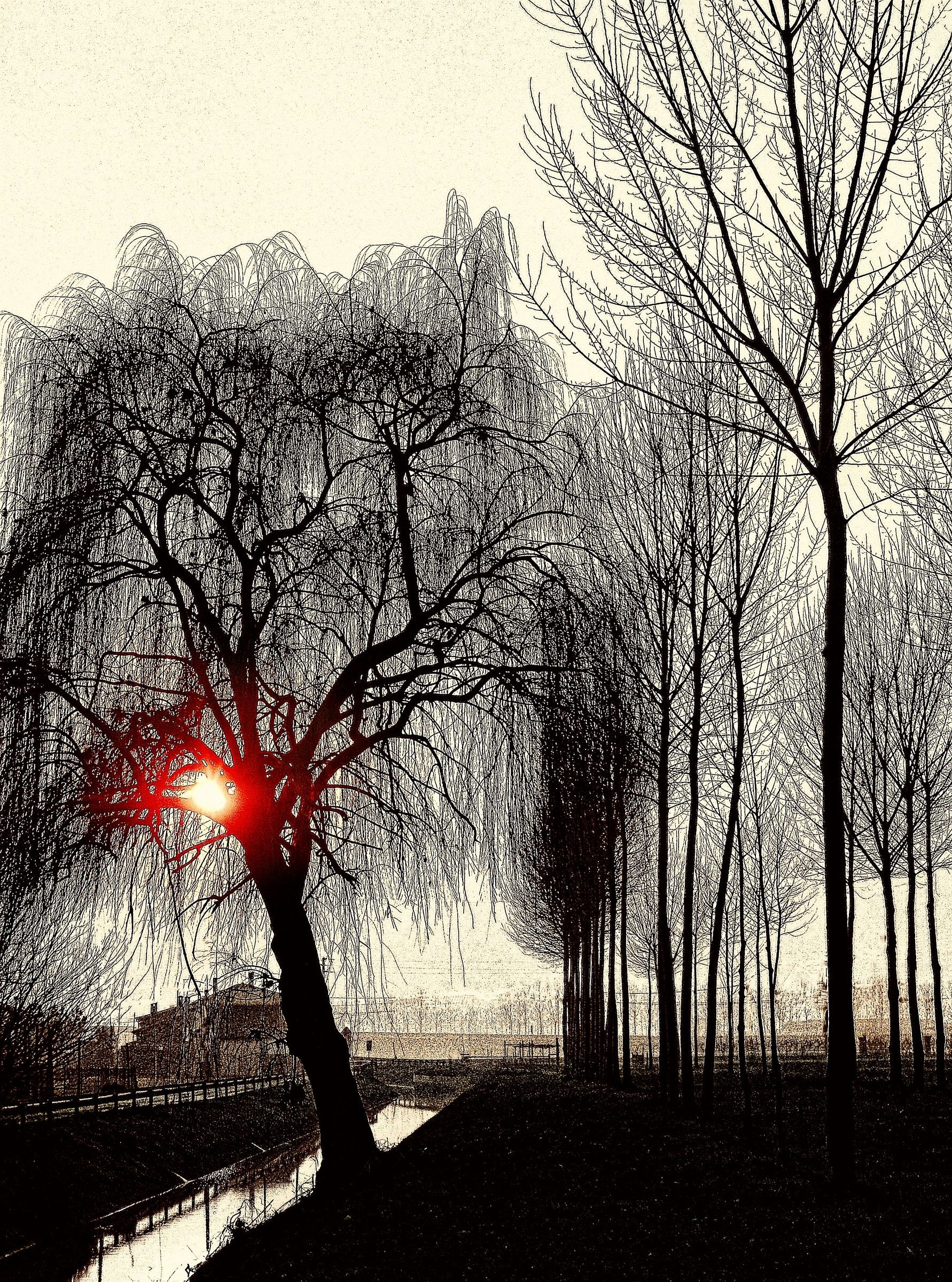 un colorato Bianco e Nero