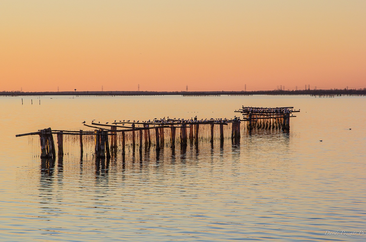 Bag Scardovari Po Delta