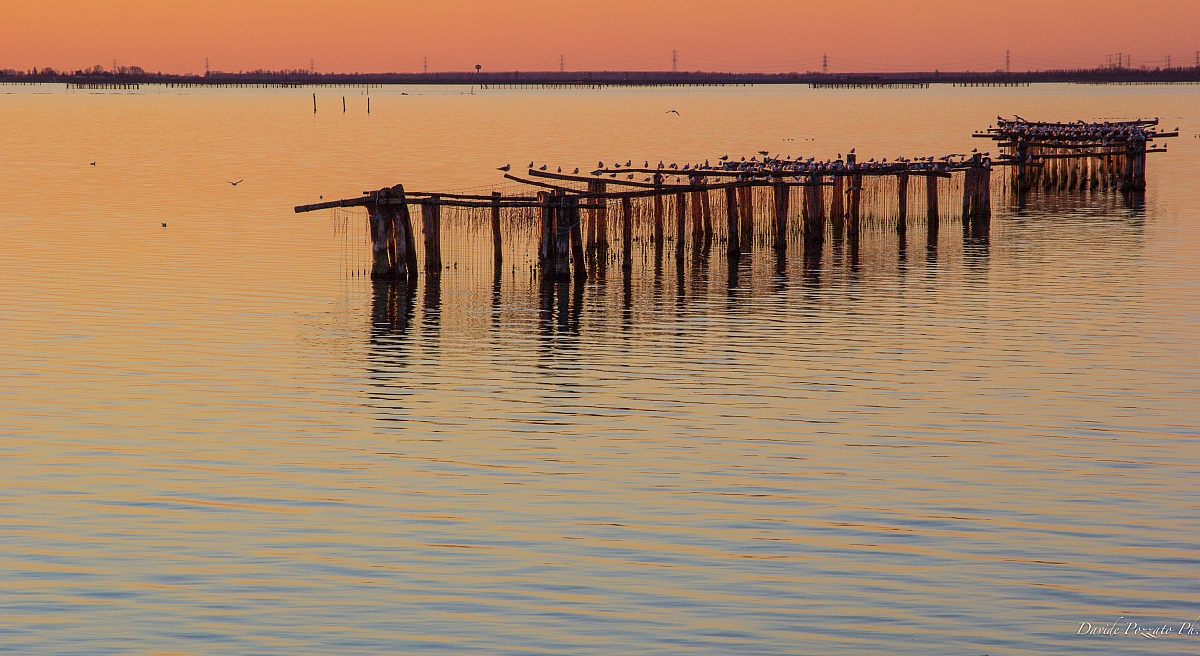 Bag Scardovari Po Delta