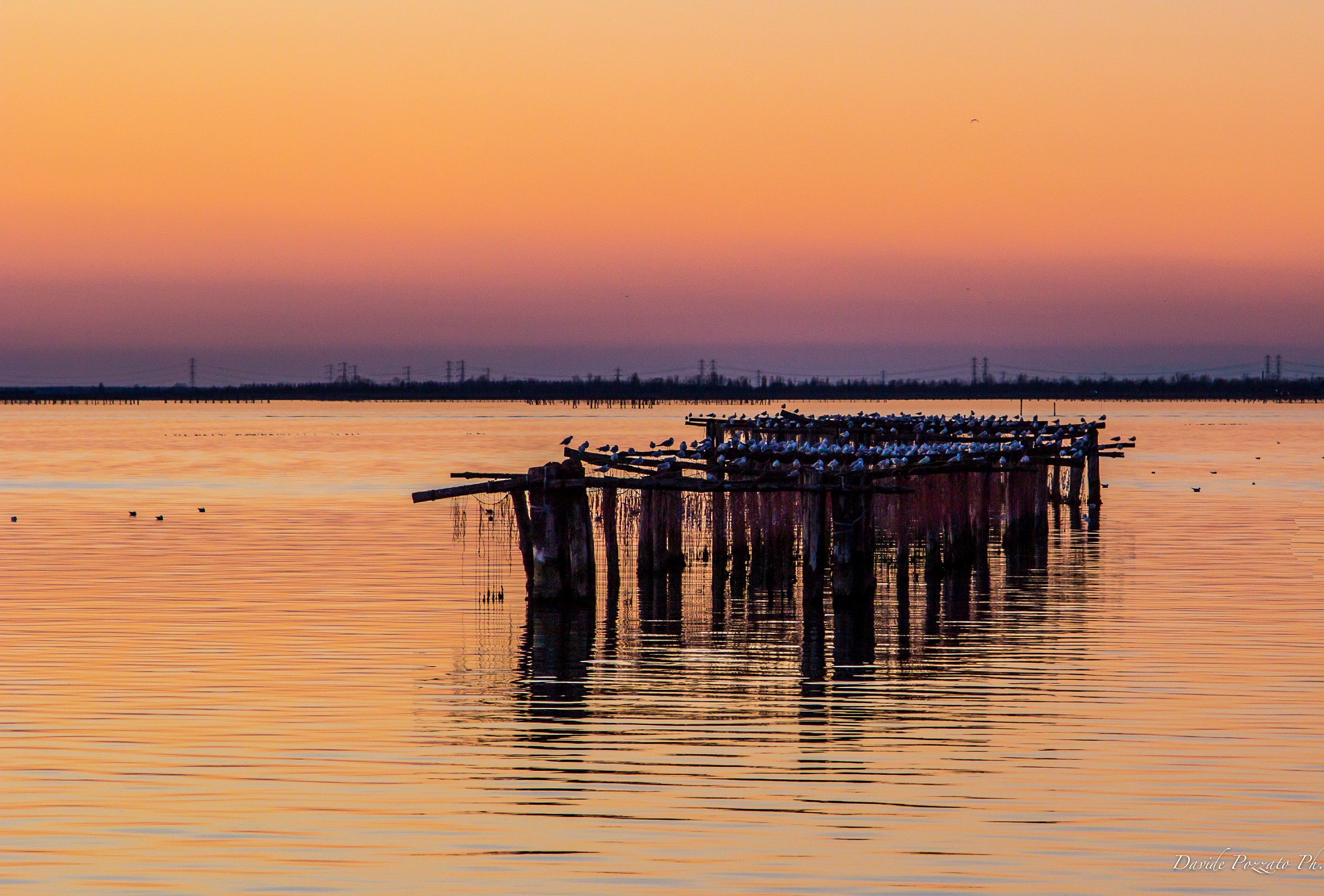 Bag Scardovari Po Delta