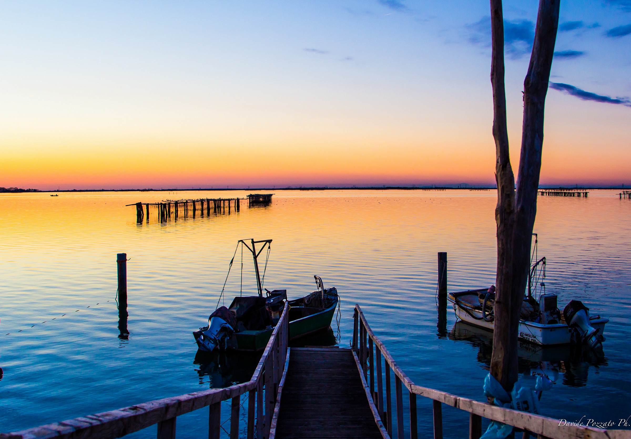 Bag Scardovari Po Delta