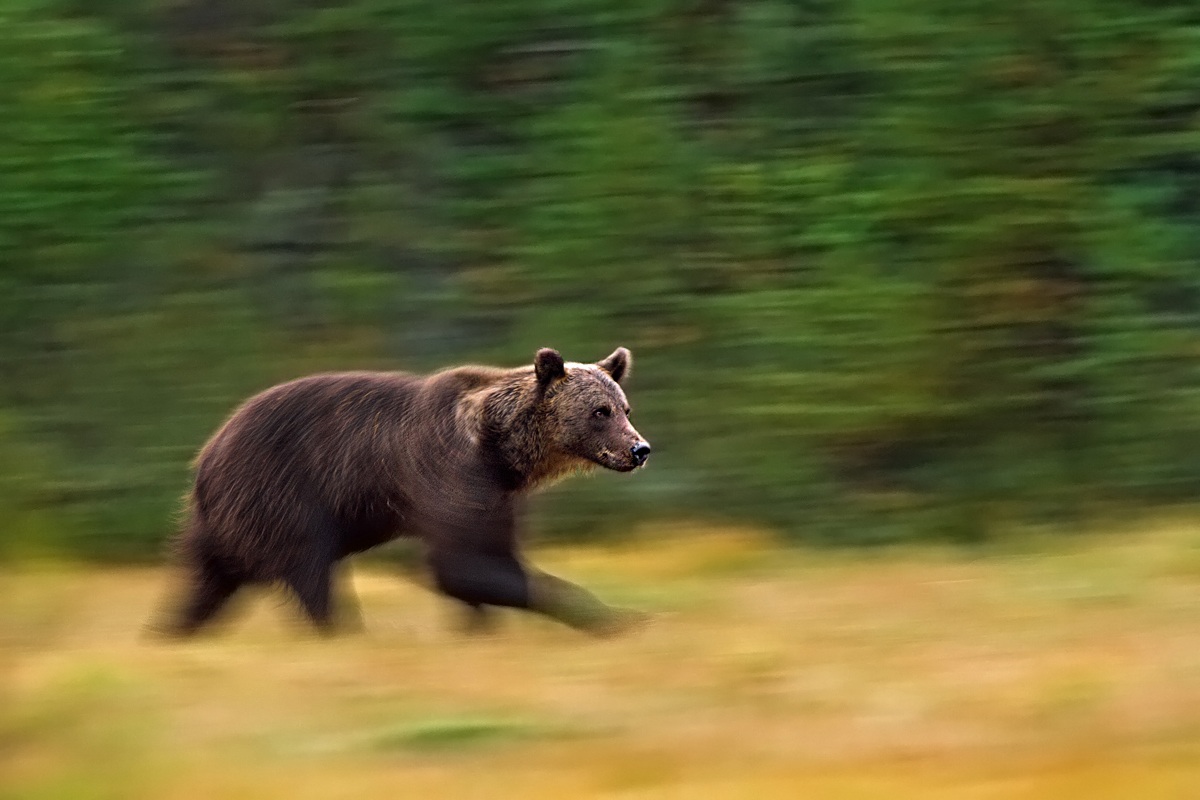 Vado di fretta......