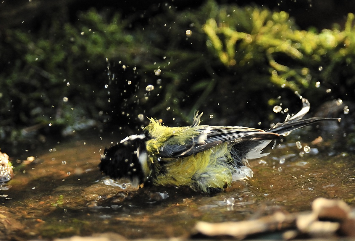 un bagno in piena regola