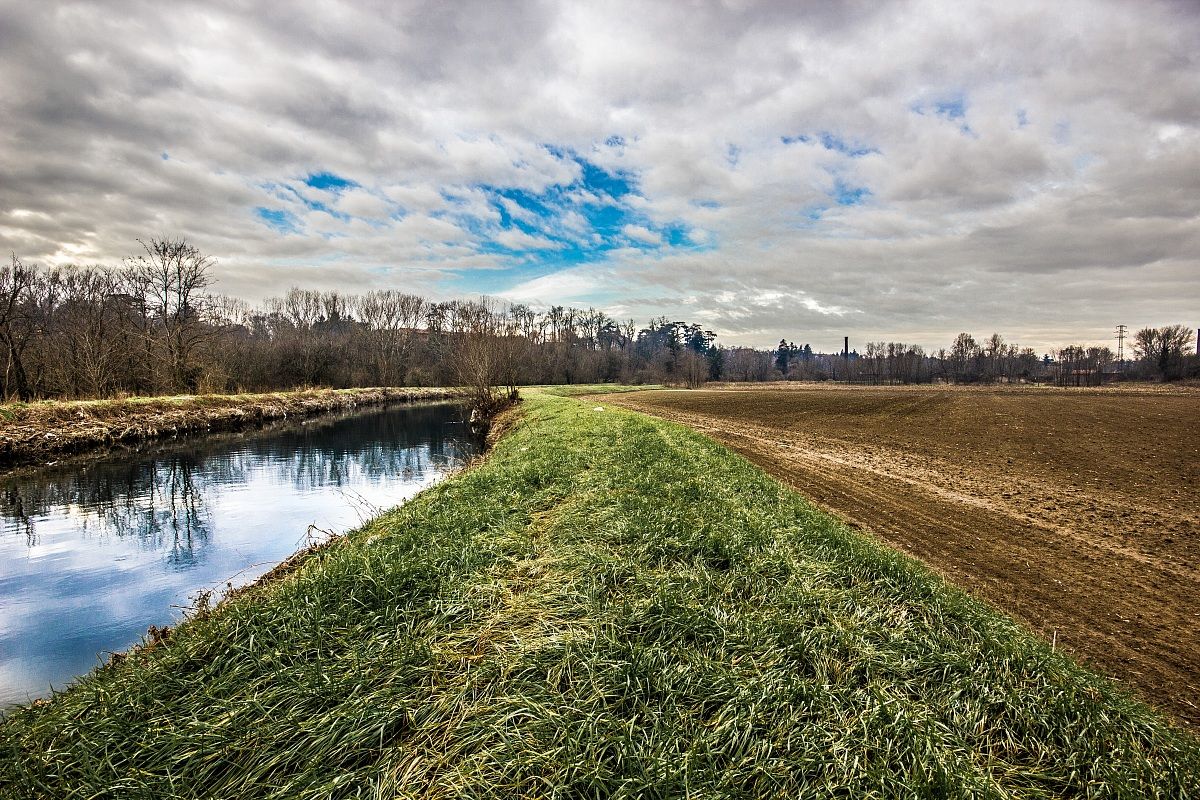 The wonders of nature