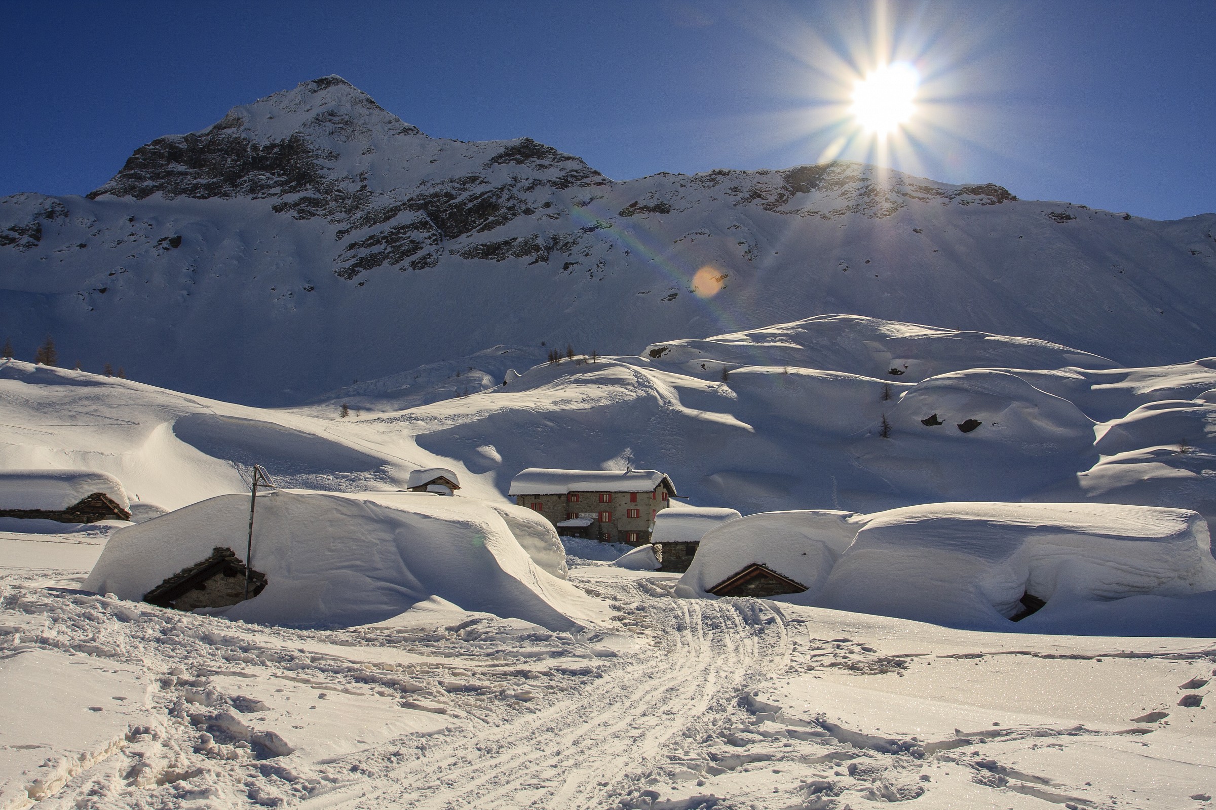 Alpe Prabello - ref. Cristina - Valmalenco