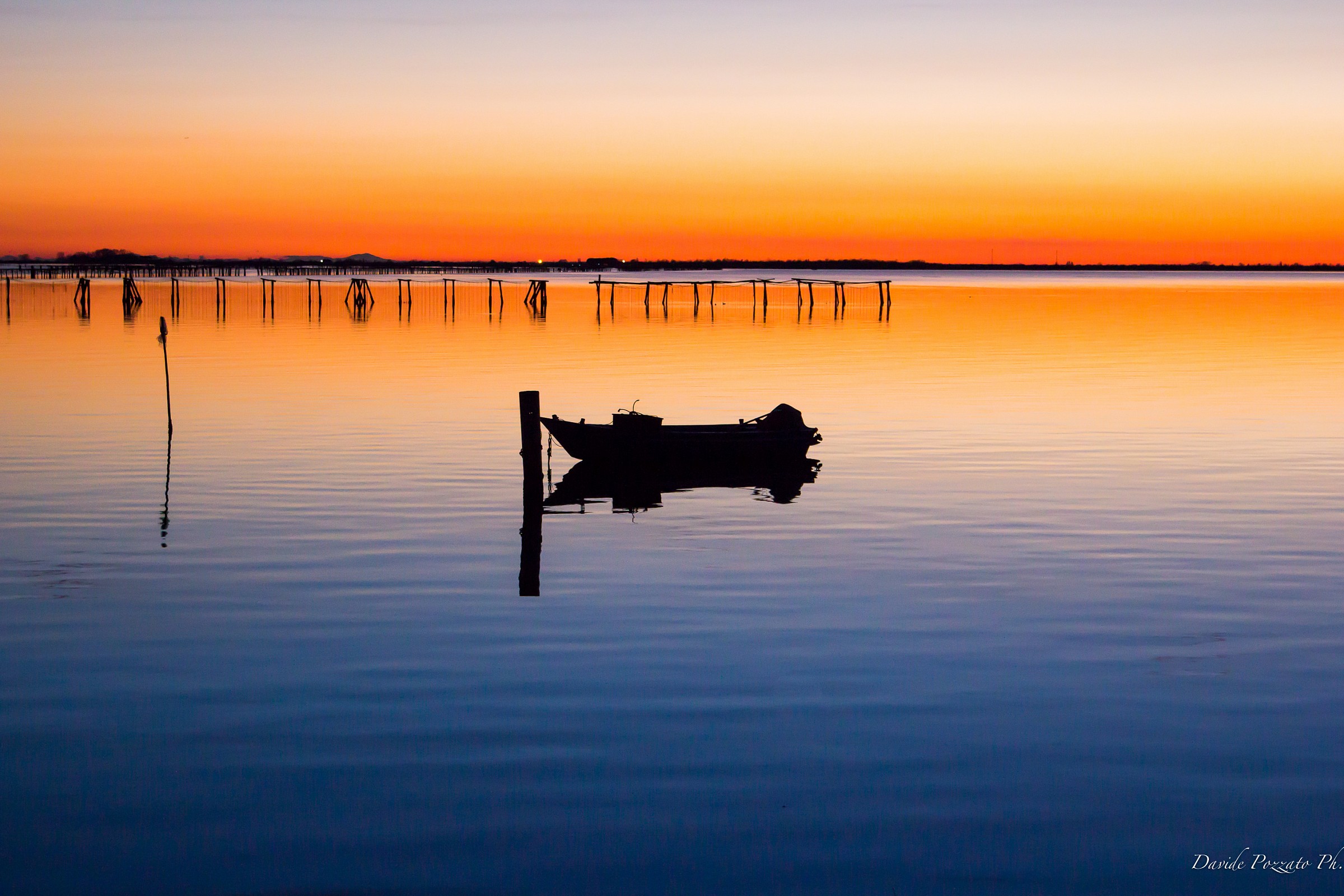 Bag Scardovari Po Delta