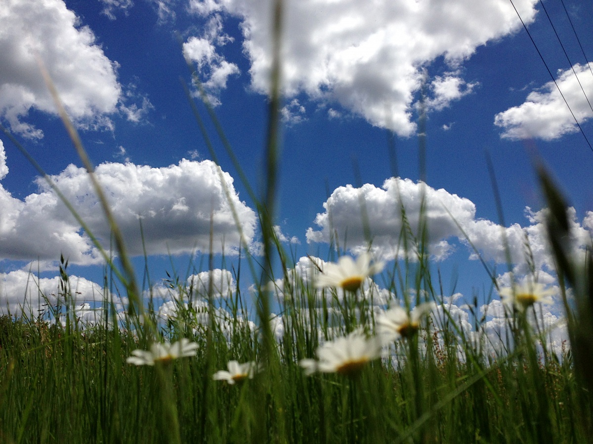 Love the view from down here....