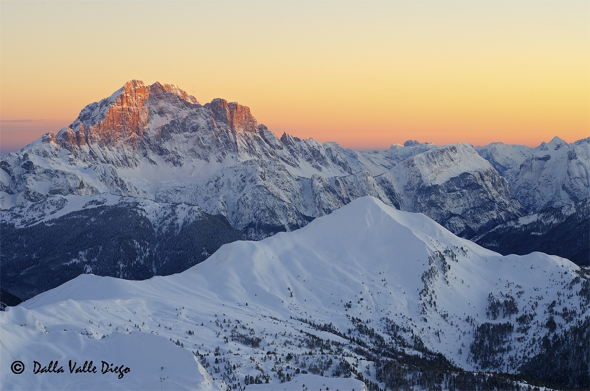 The Owl orange dress