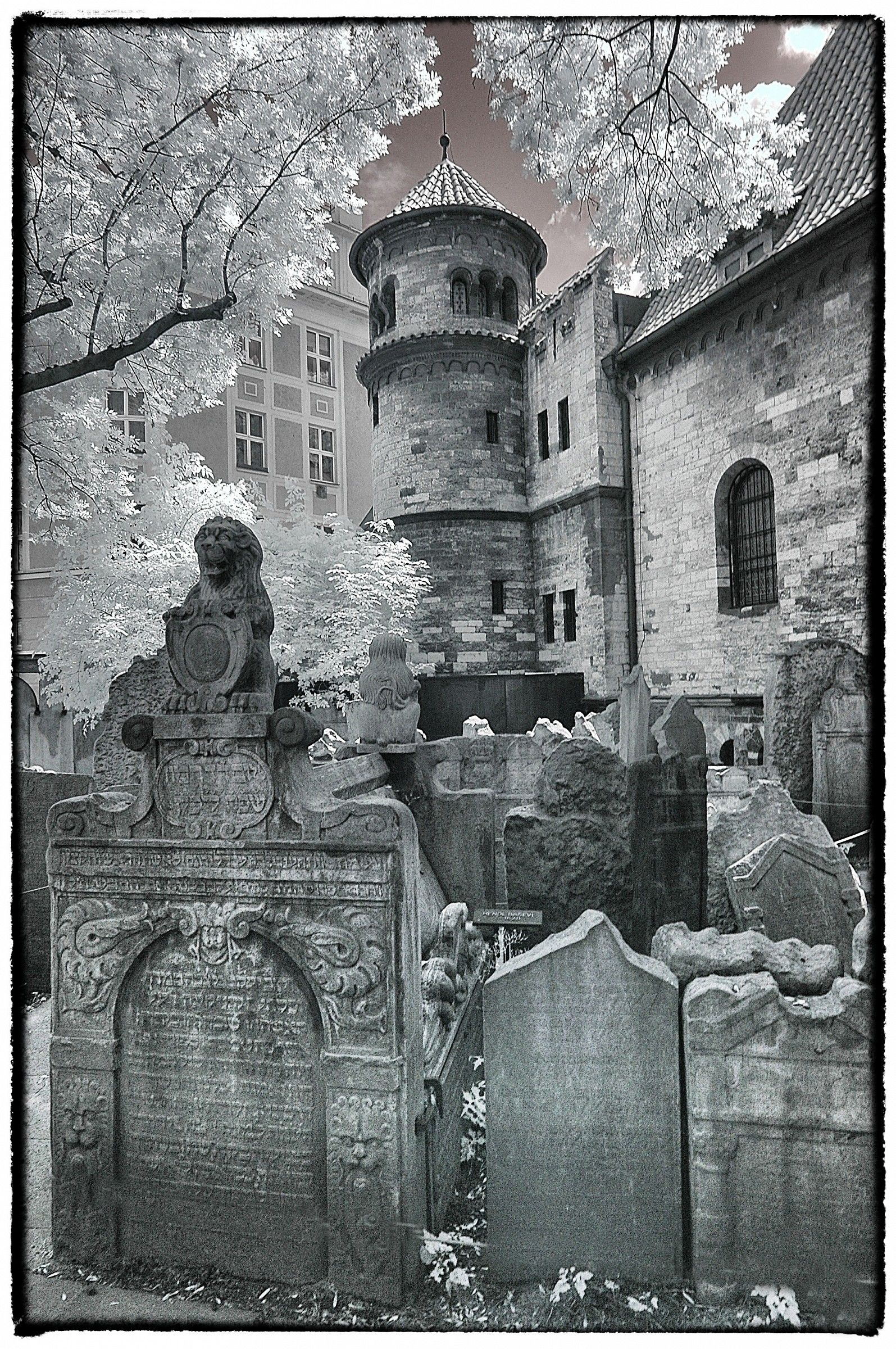 Cimitero Ebraico - Praga ( IR )