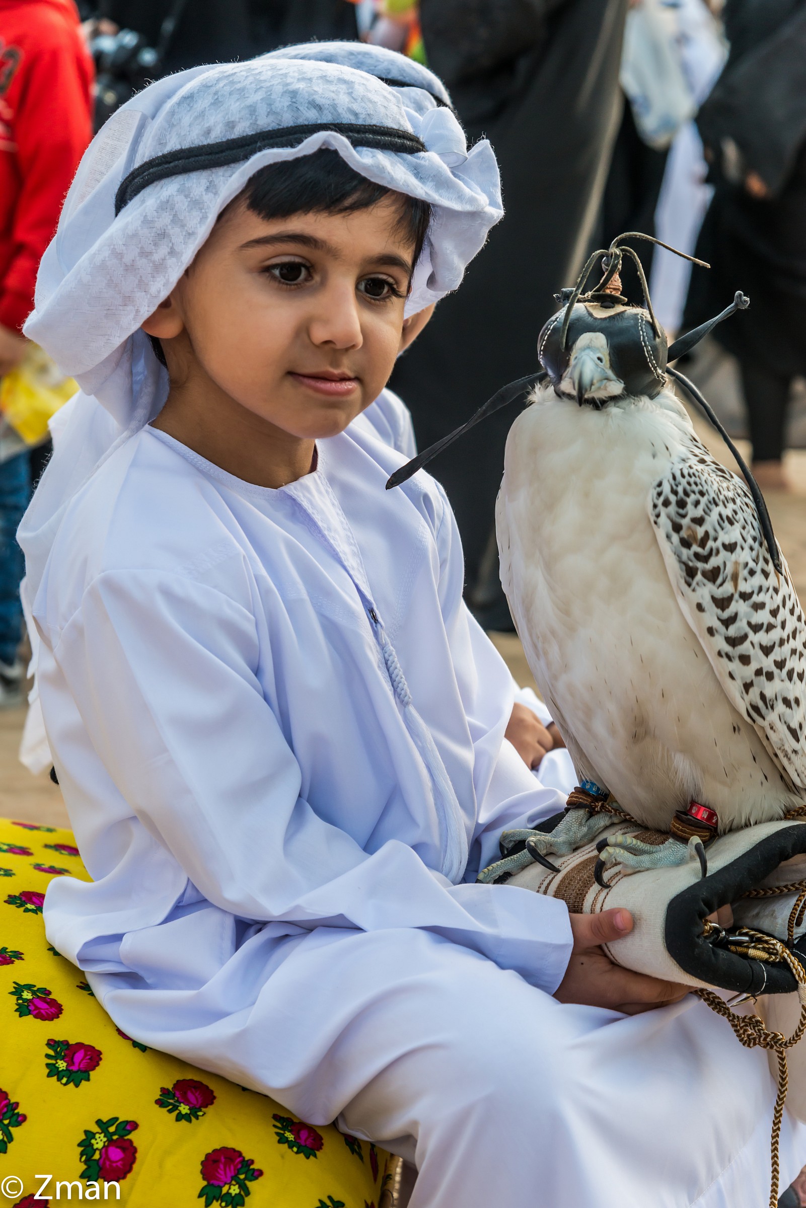 Young Kid and His Falcon