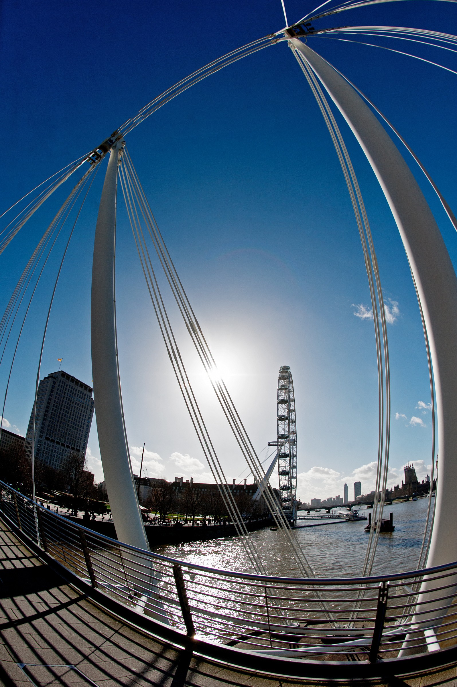 Curve within a Curve