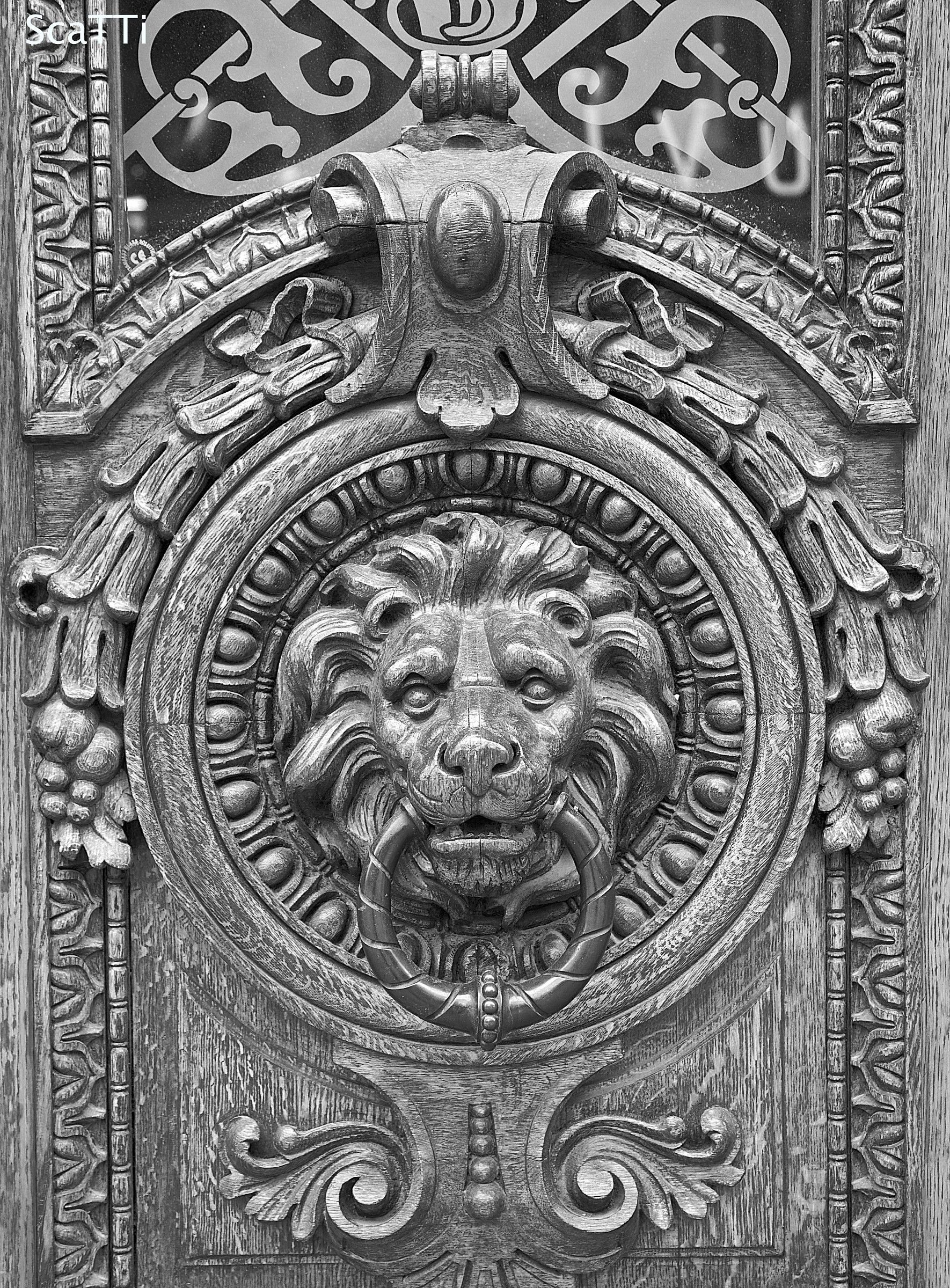 Lion's door