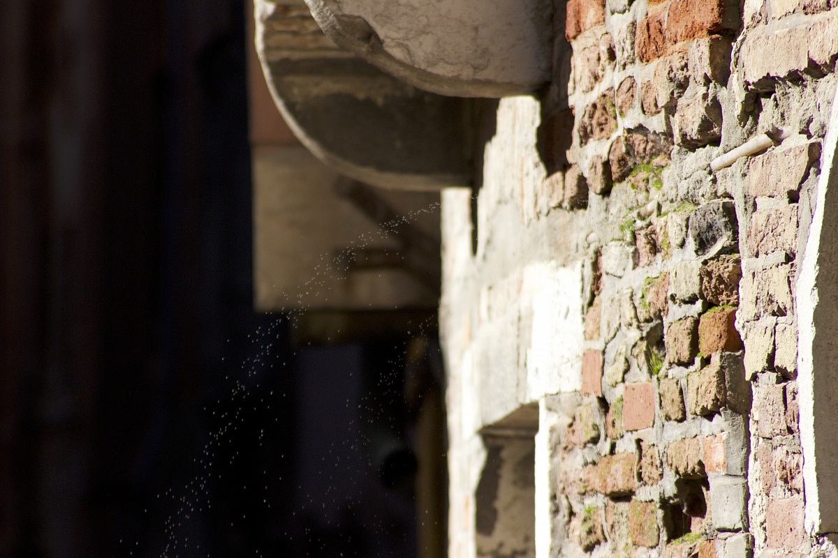 my prefeita: Wall particular