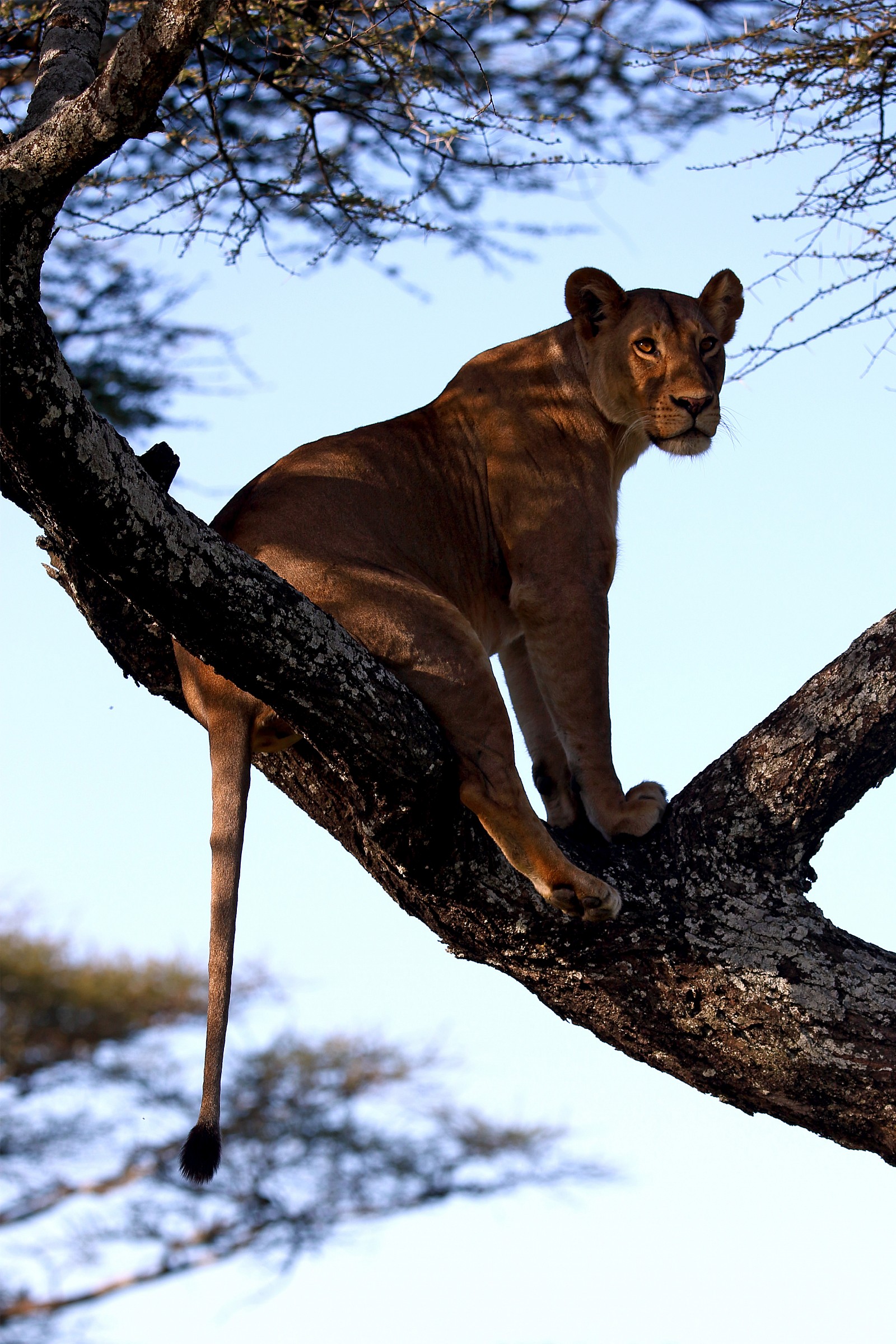Beh? A me va di stare qui.