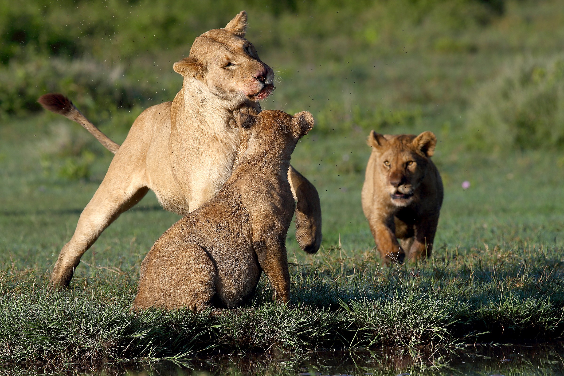 Do not play too much ...