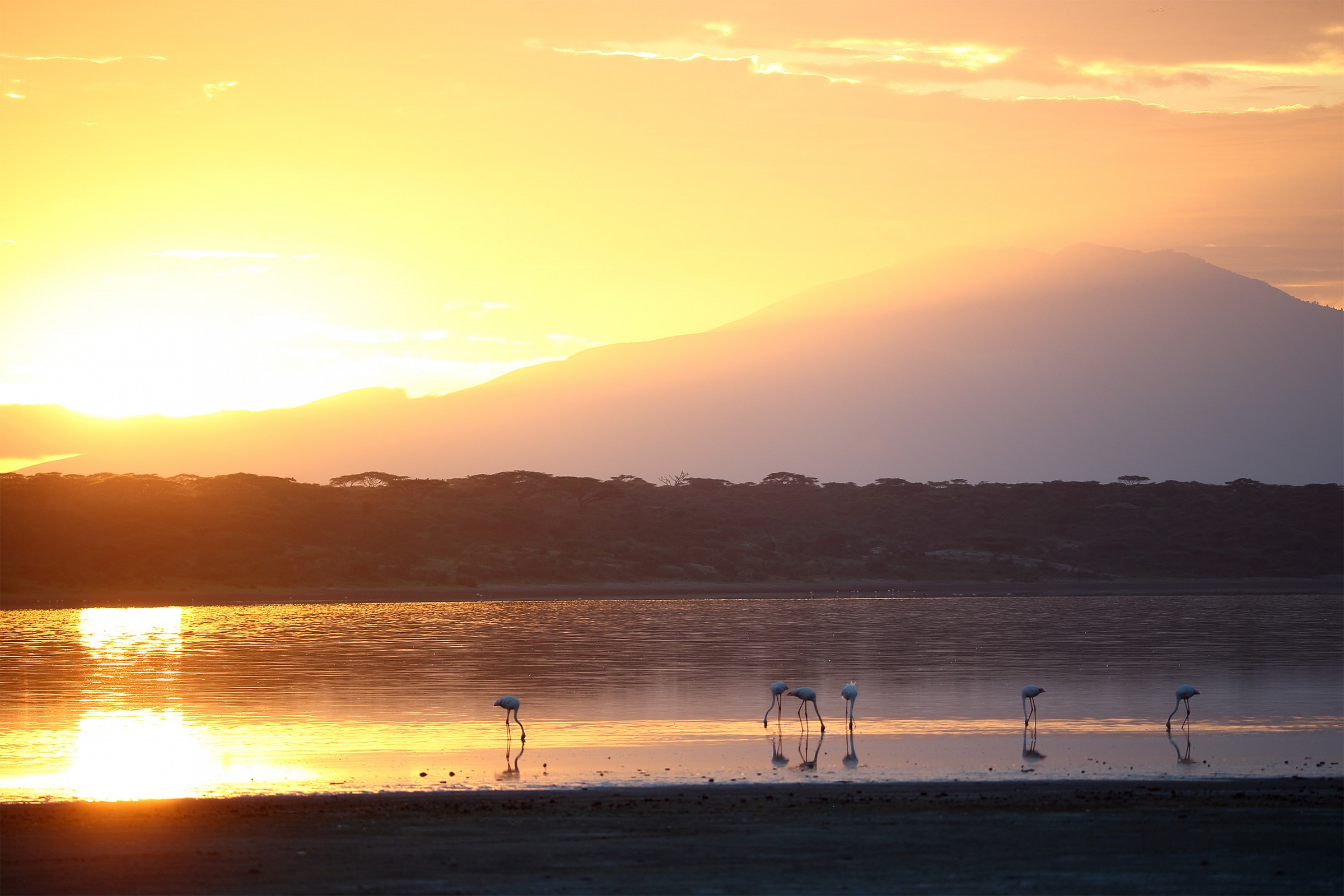 Sunrise on Lake Ndutu