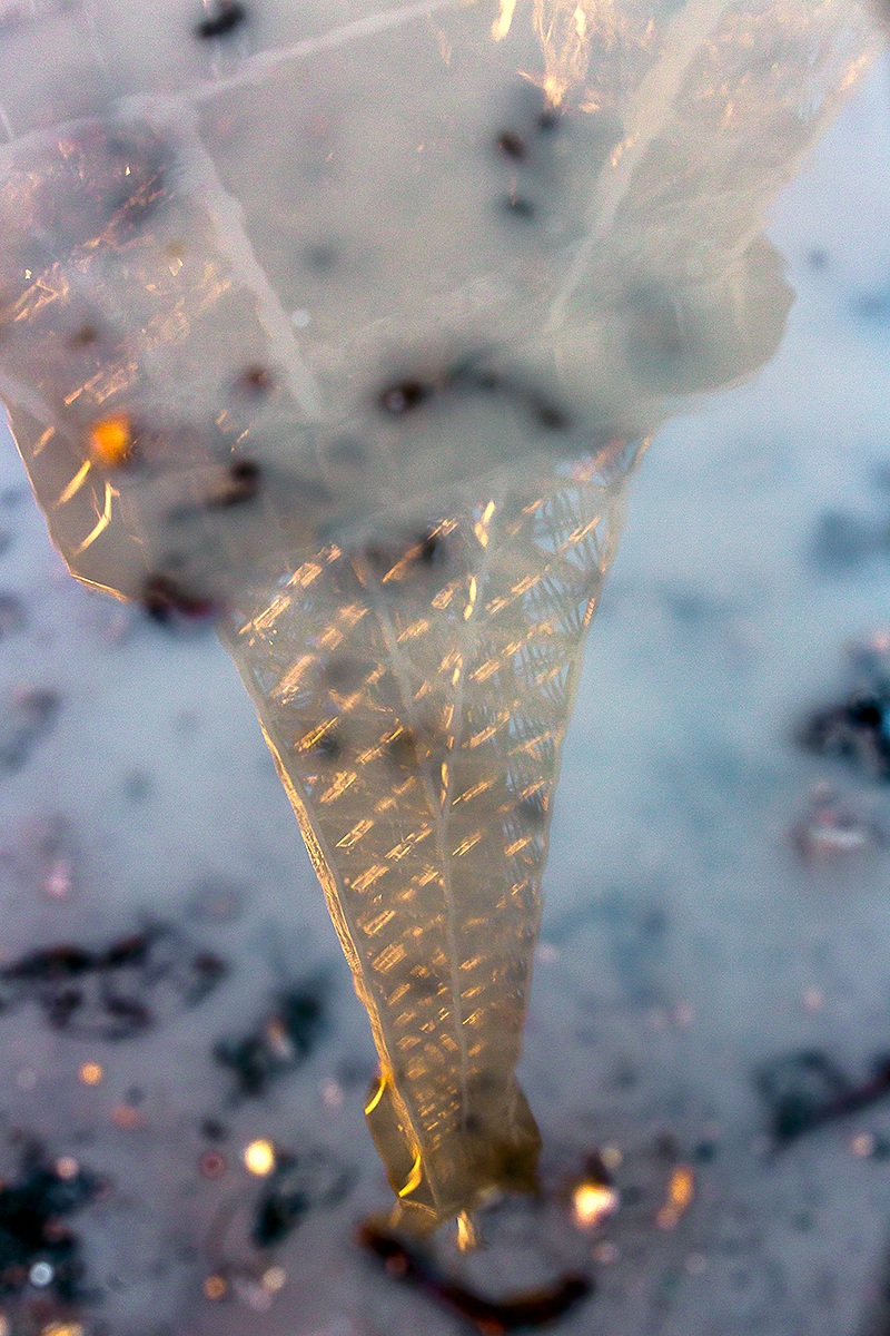 Reflections de la Tour Eiffel ...