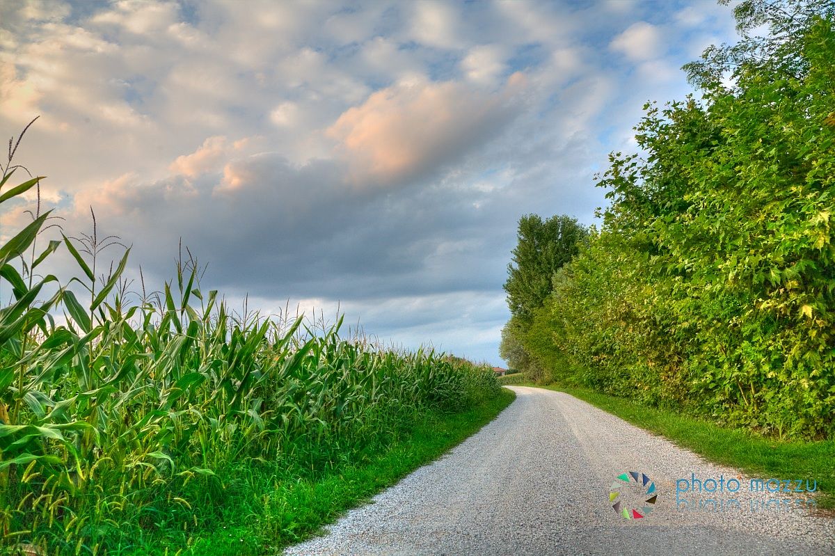 Stradina di campagna...